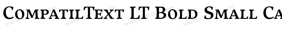 CompatilText LT Bold Small Caps字体转换